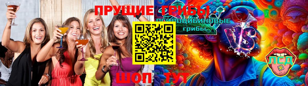 Раменское  Галлюциногенные грибы мицелий  Вход с VPN 
